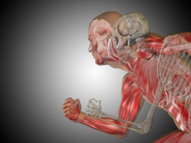 adam vücut göğüs