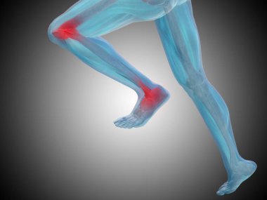 gri arka plan üzerinde insan anatomisi