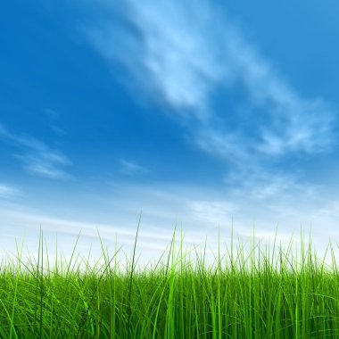 Mavi gökyüzü ile yeşil çimen