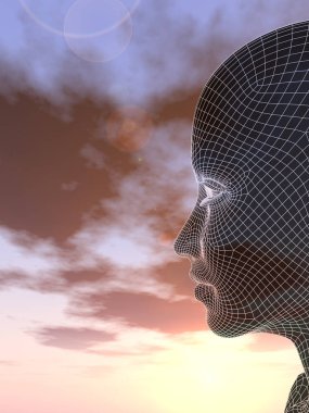 kadın tel kafes kafa