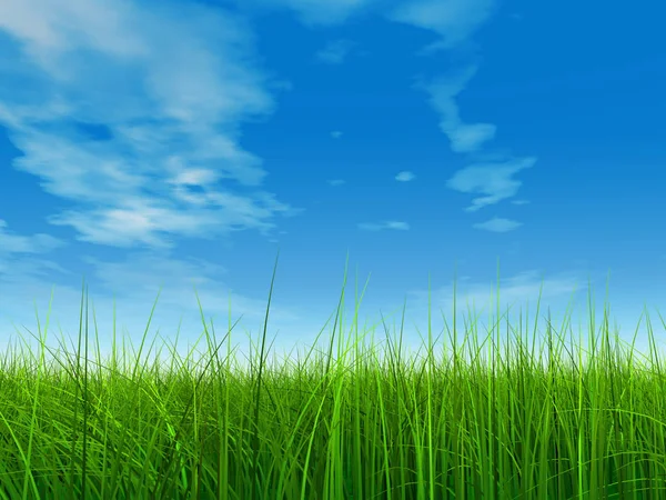 Mavi gökyüzü ile yeşil çimen