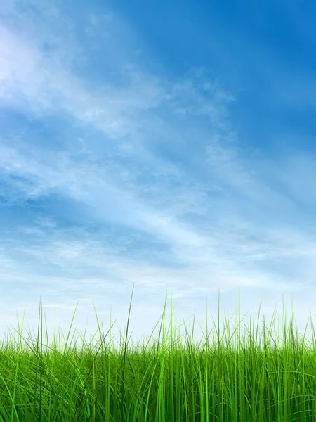 Green grass with blue sky — Stock Photo, Image