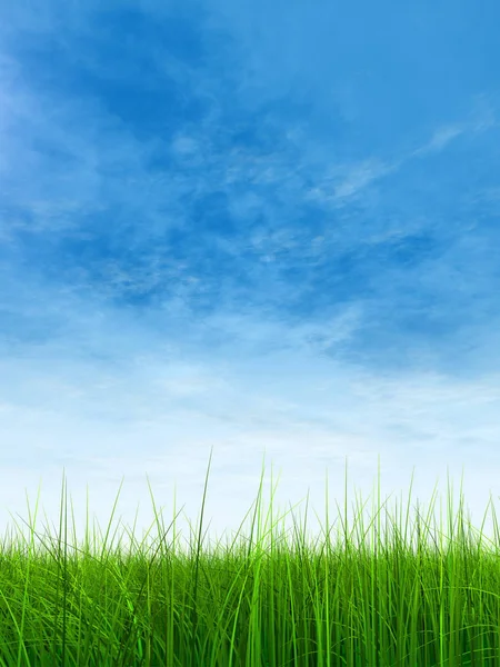 Green grass with blue sky — Stock Photo, Image
