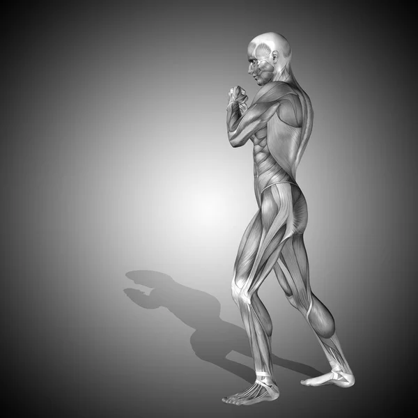 Тіло з м'язами сильної людини — стокове фото