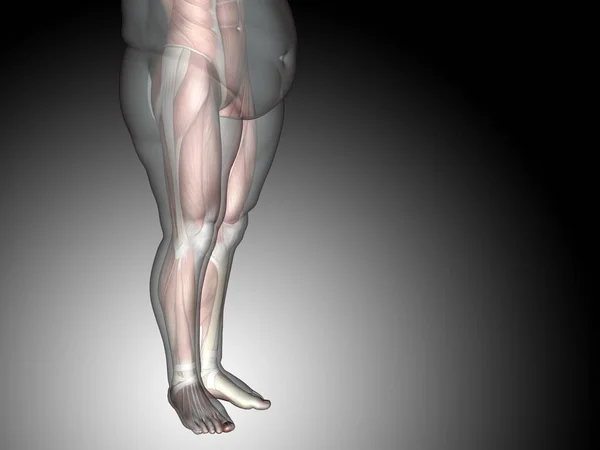Sovrappeso con muscoli giovanotti — Foto Stock