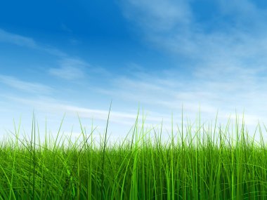 Mavi gökyüzü ile yeşil çimen