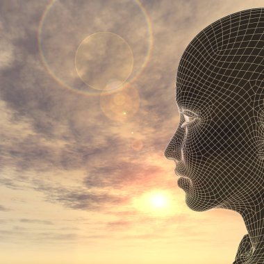 Tel kafes kadının yüzü