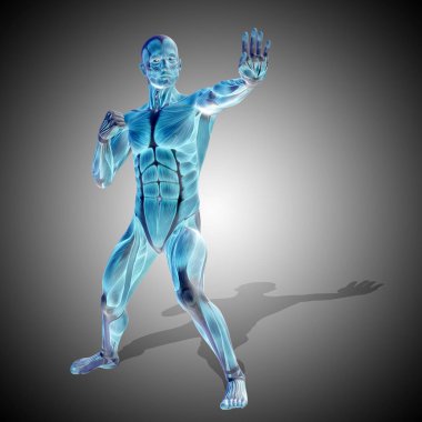 güçlü insan, kaslı vücut