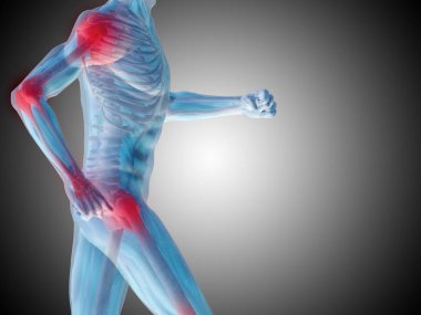 insan anatomisi vücut