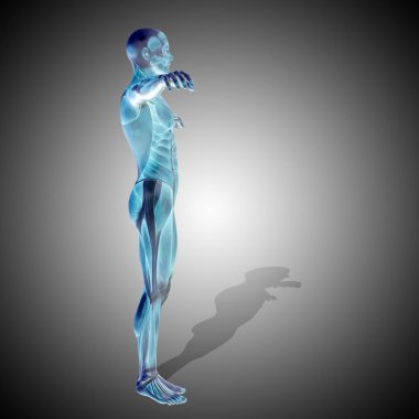 güçlü insan, kaslı vücut