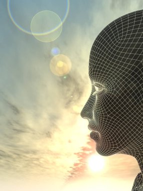 kadın tel kafes kafa