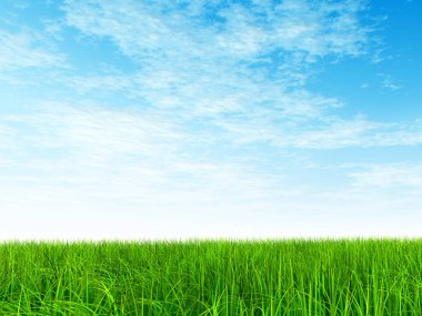 Mavi gökyüzü ile yeşil çimen
