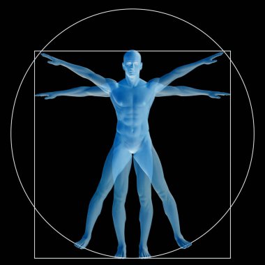 insan vücudu anatomisi gösteren resim