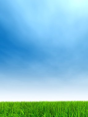 Mavi gökyüzü ile yeşil çimen