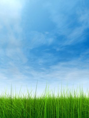 Mavi gökyüzü ile yeşil çimen