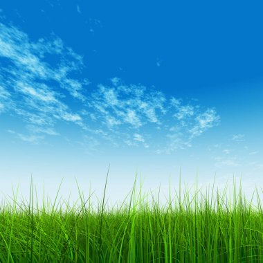 Mavi gökyüzü ile yeşil çimen