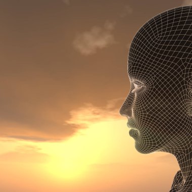 kadın tel kafes kafa