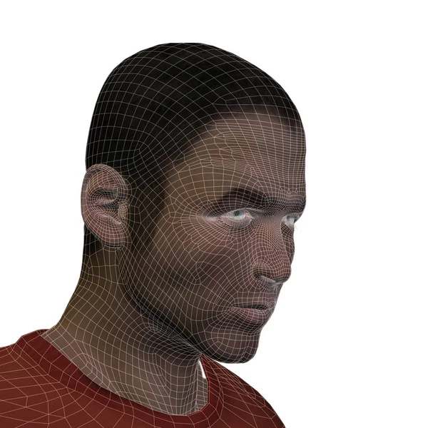 Ludzki mężczyzna szkielet głowy — Zdjęcie stockowe