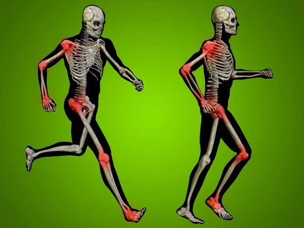 Menselijke anatomie met spieren — Stockfoto