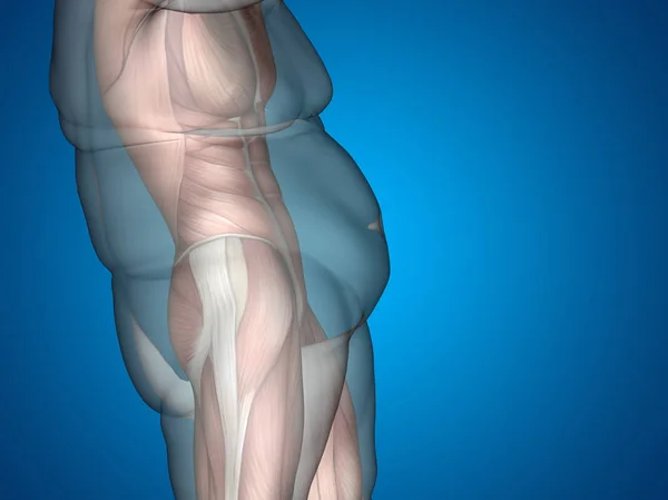 Übergewicht gegen schlanke Passform mit Muskeln — Stockfoto
