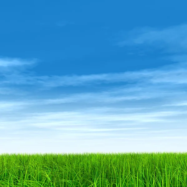 Πράσινο γρασίδι με μπλε ουρανό — Φωτογραφία Αρχείου