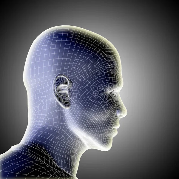 Κεφάλι ανθρώπινο αρσενικό wireframe — Φωτογραφία Αρχείου
