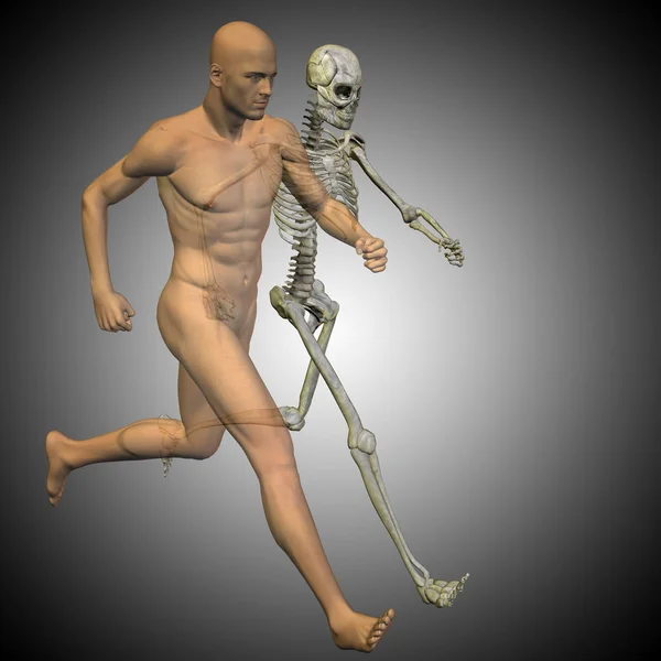 Man with bones for anatomy — Stock Photo, Image