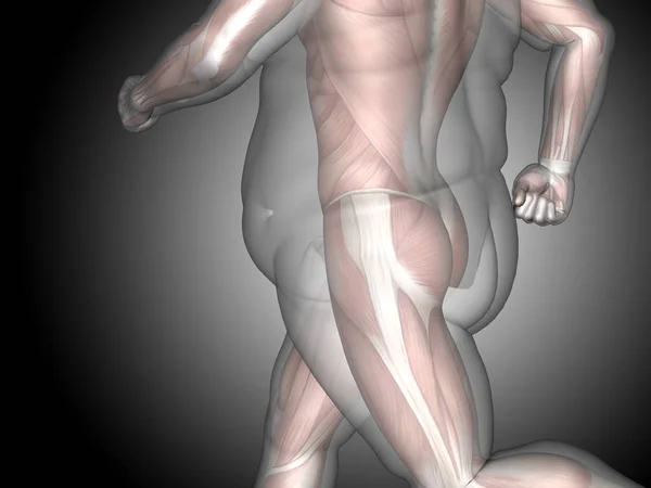 Sovrappeso con muscoli giovanotti — Foto Stock