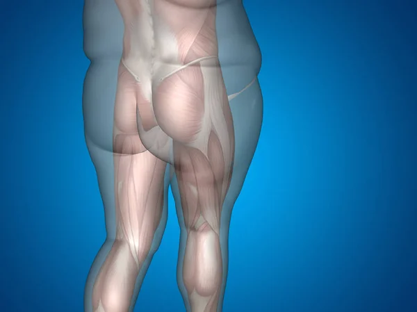 超重 vs 苗条符合肌肉 — 图库照片