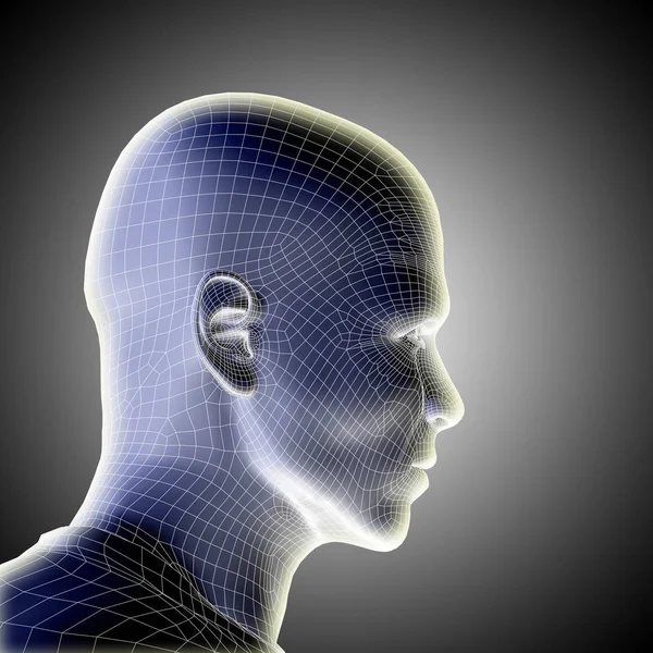 Human male wireframe head — Stock Photo, Image