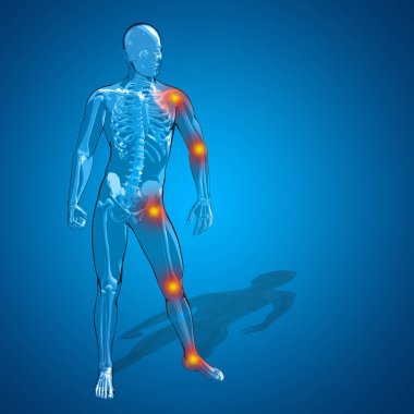 insan vücudu anatomisi gösteren resim