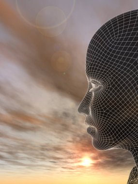 kadın tel kafes kafa