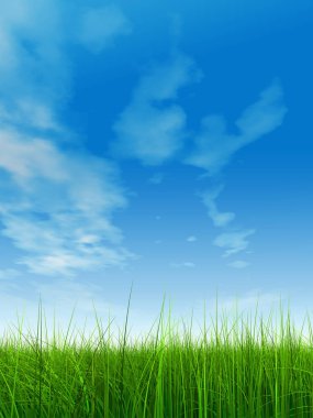 Mavi gökyüzü ile yeşil çimen