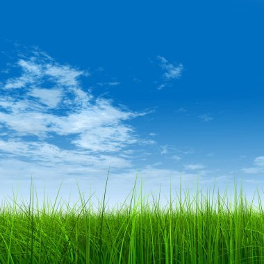 Mavi gökyüzü ile yeşil çimen