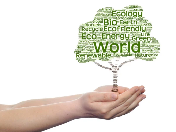 Ekologi word cloud träd i händer — Stockfoto