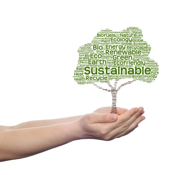 Ecology word cloud tree in hands — Stock Photo, Image