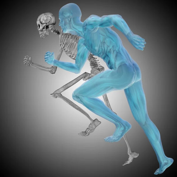 Man with bones for anatomy — Stock Photo, Image