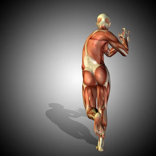 Cuerpo con músculos de humanos fuertes — Foto de Stock