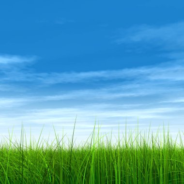  Mavi gökyüzü ile yeşil çimen