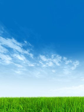  Mavi gökyüzü ile yeşil çimen