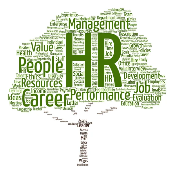 Mänskliga resurser management word cloud — Stockfoto