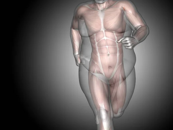 Illustrazione del corpo umano sovrappeso — Foto Stock