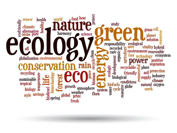 Ökológia szöveg szó felhő — Stock Fotó