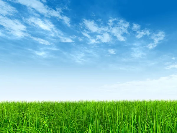  Mavi gökyüzü ile yeşil çimen
