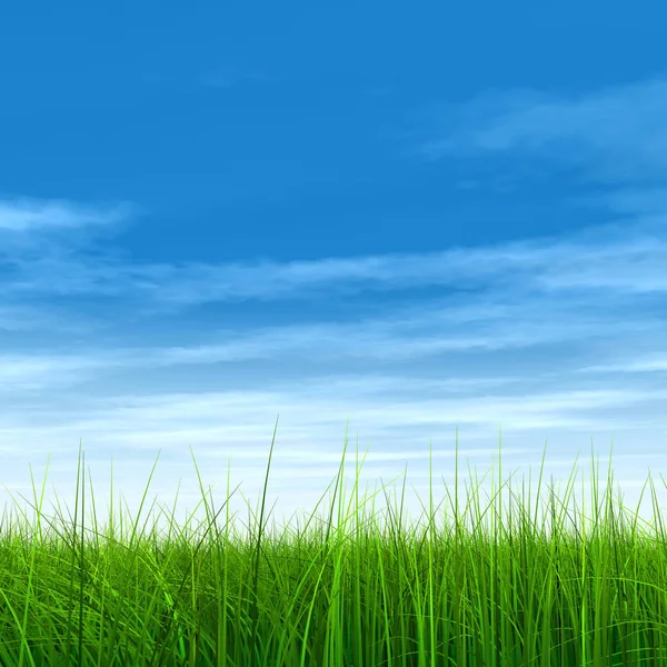  Mavi gökyüzü ile yeşil çimen