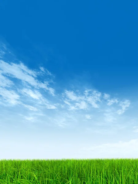  Mavi gökyüzü ile yeşil çimen