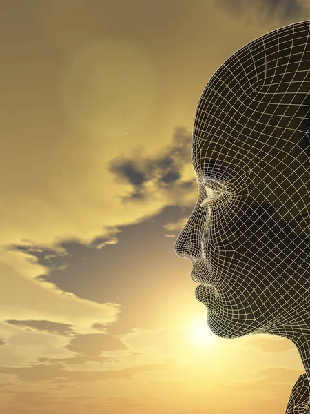 Tel kafes kadın baş