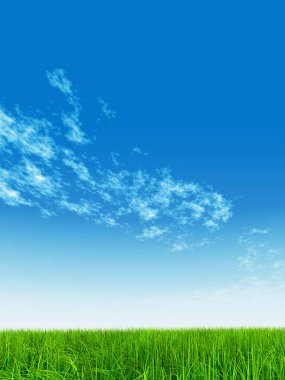  Mavi gökyüzü ile yeşil çimen