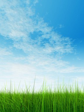  Mavi gökyüzü ile yeşil çimen