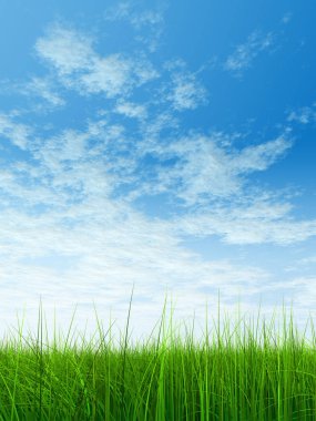  Mavi gökyüzü ile yeşil çimen